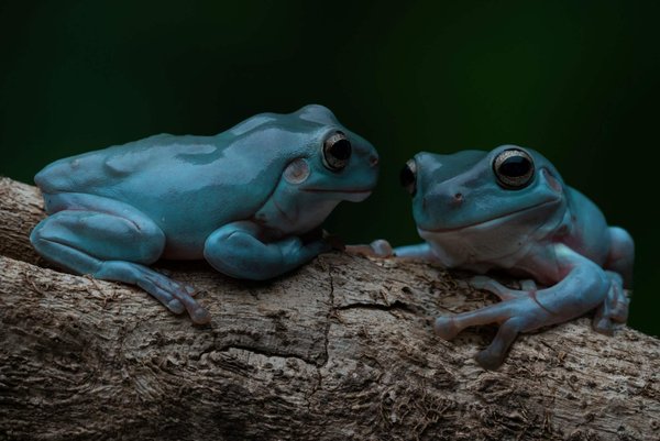 Techniques pour harmoniser des vêtements plissés avec des pièces structurées